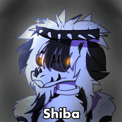 Shiba